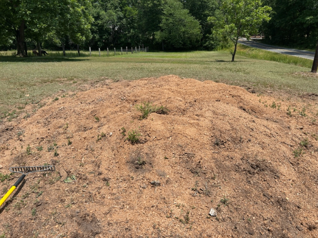 Yard after stump grinding