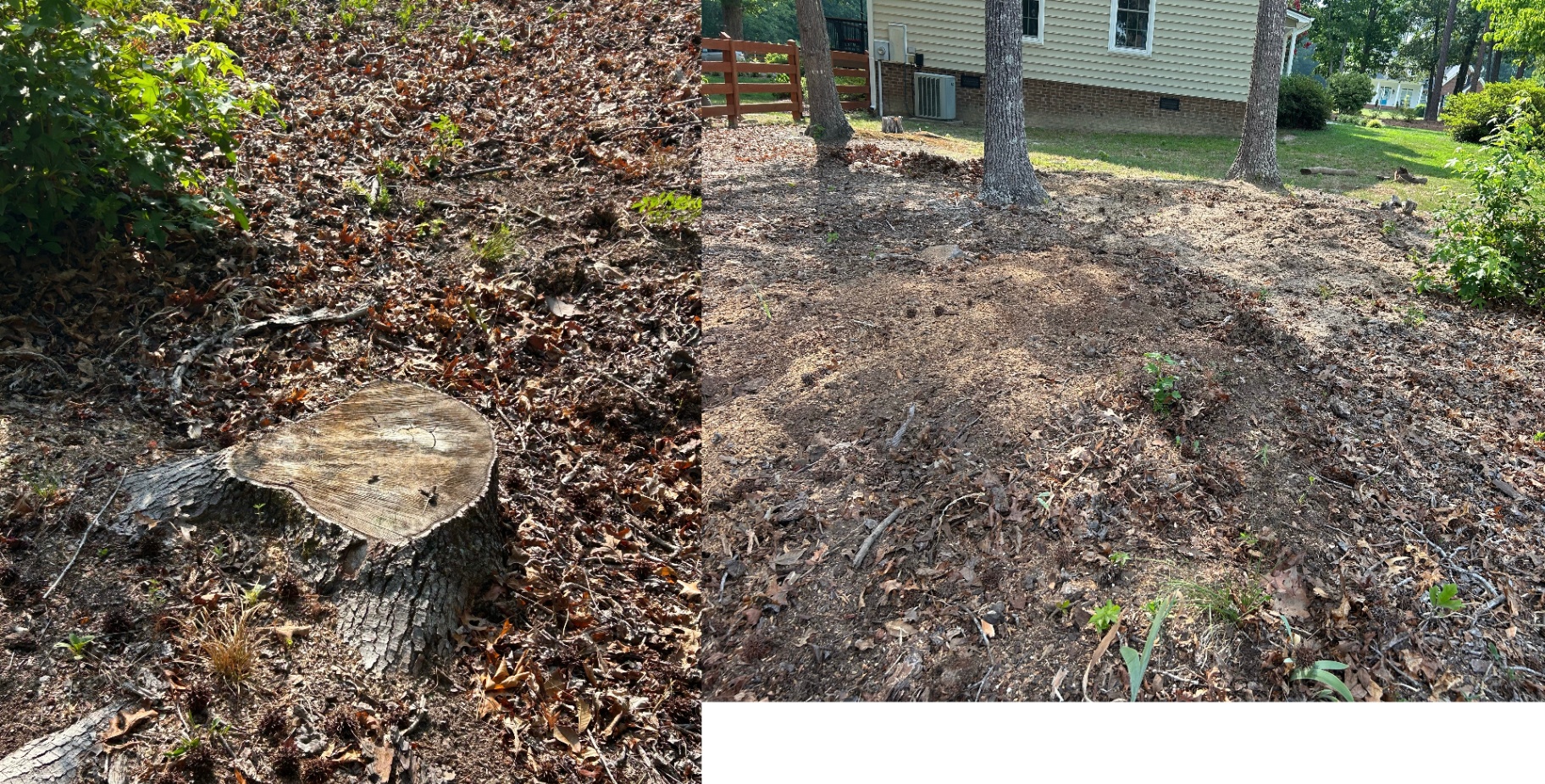 Before and after: hardwood stump in a leaf-covered bed, then a level area of soil and grindings beside the house