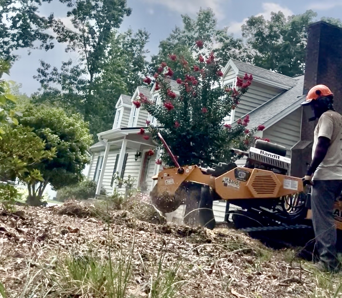Operator running a Bandit stump grinder on a stump beside a two-story home