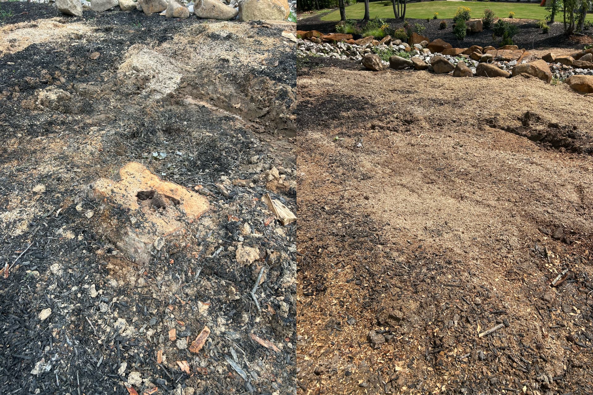 Before and after: low stump remains on cleared ground, then a smooth layer of raked grindings