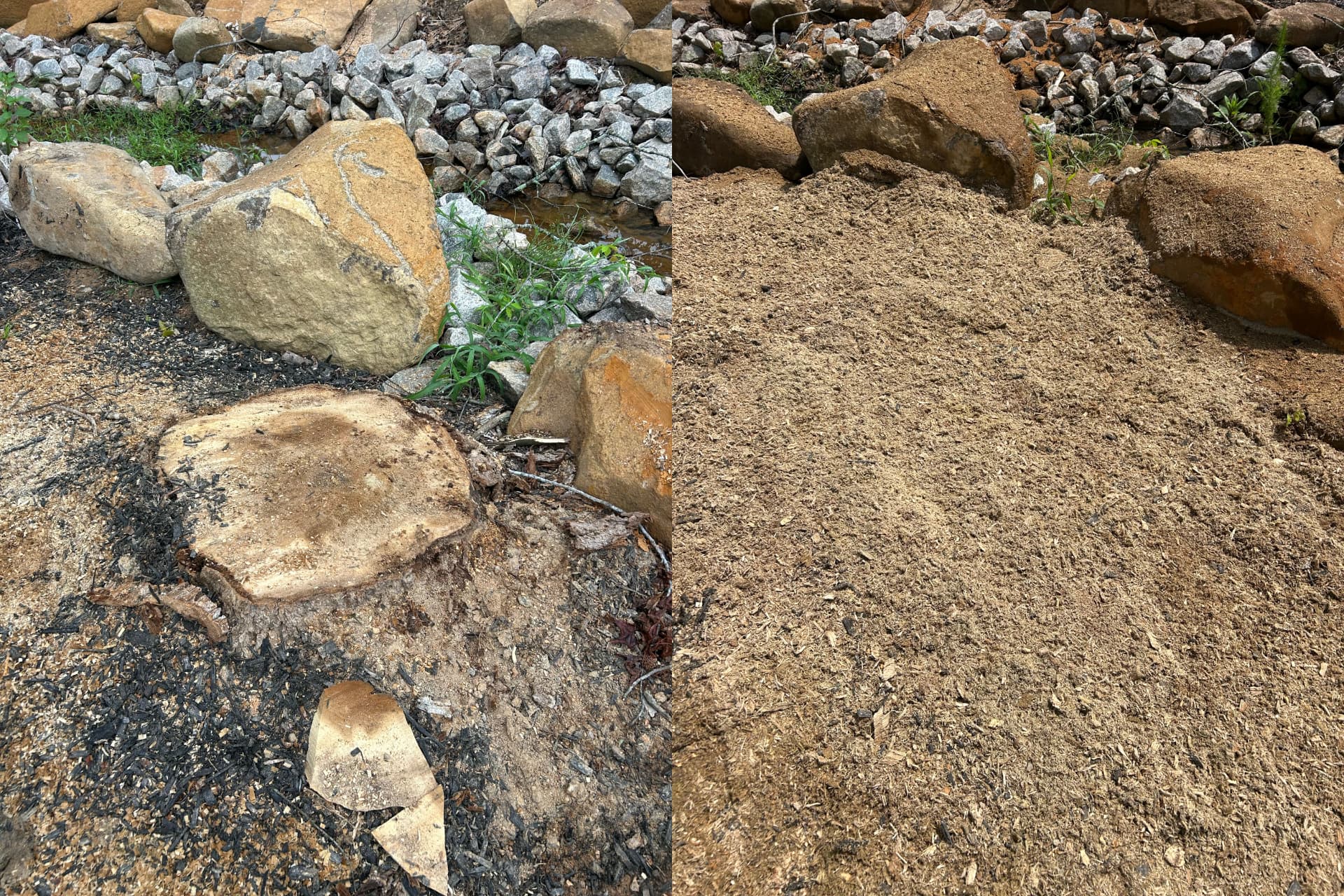 Before and after: freshly cut stump among landscape boulders, then grindings leveled between the rocks