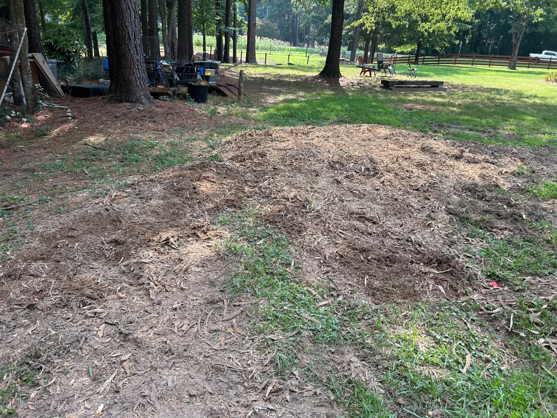 Yard after stump grinding